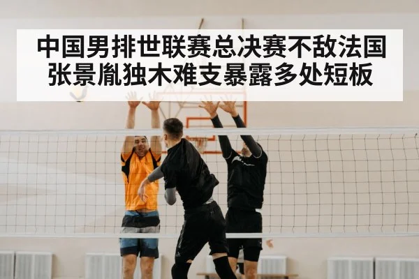 中国男排世联赛总决赛不敌法国 张景胤独木难支暴露多处短板