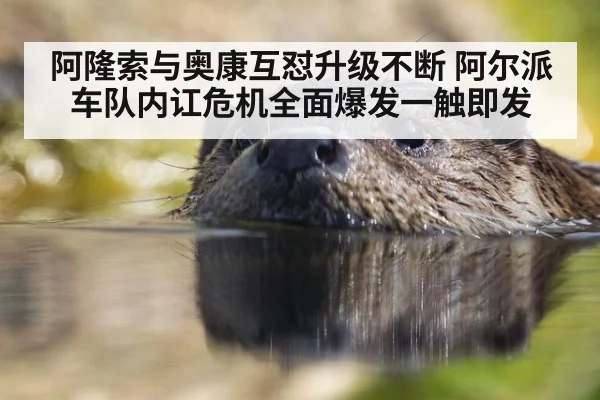 阿隆索与奥康互怼升级不断 阿尔派车队内讧危机全面爆发一触即发